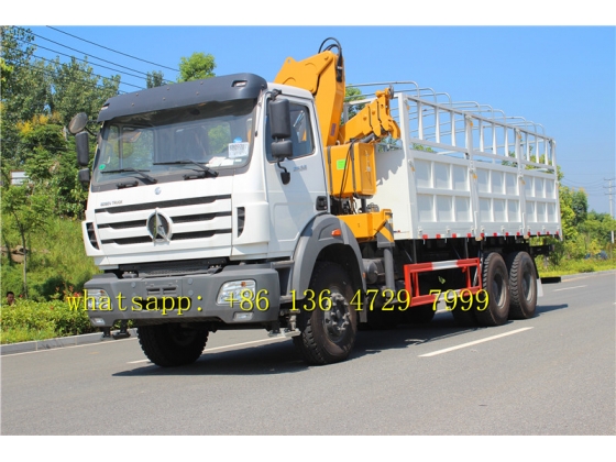 congo north benz 2638 truck supplier